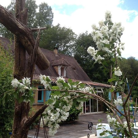 Maison D'Hotes Le Moulin Pointu Sainte-Nathalène Exterior foto